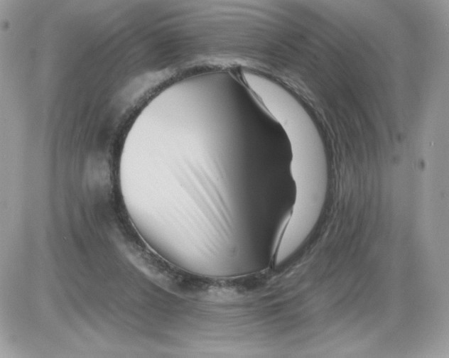 X0000085830256200704132045