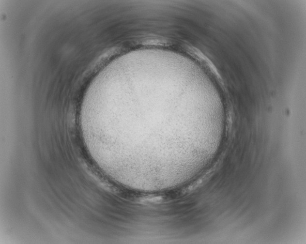 X0000085830257200704132045