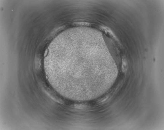 X0000085830259200704132045
