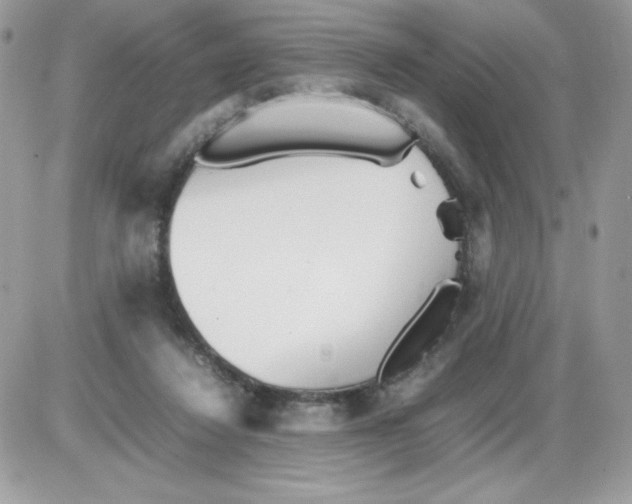 X0000085830260200704132045
