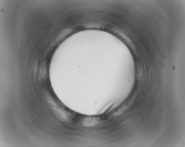 X0000085830261200704132045