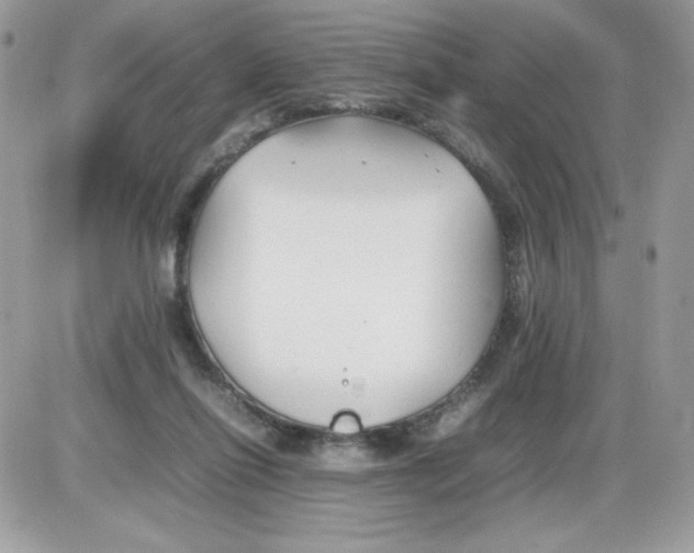 X0000085830262200704132045
