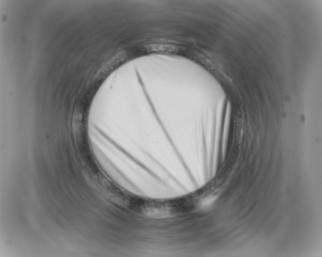 X0000085830263200704132045