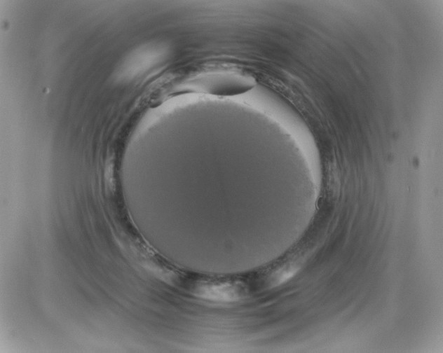 X0000085830267200704132045