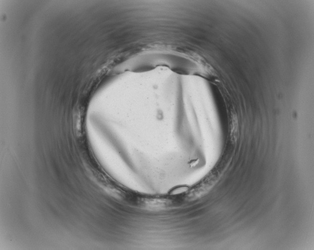 X0000085830268200704132045