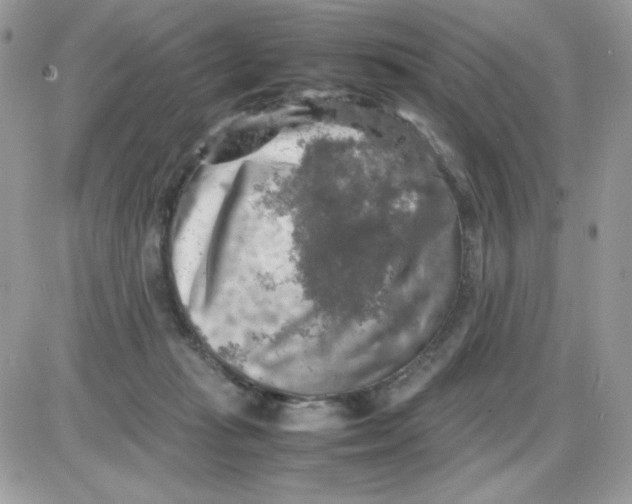 X0000085830269200704132045