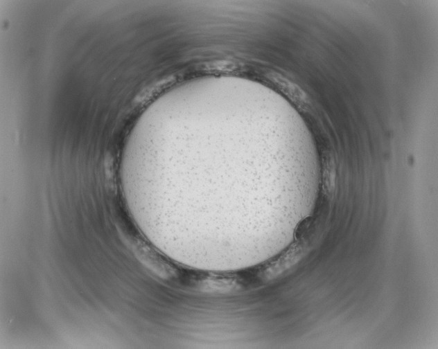 X0000085830270200704132045