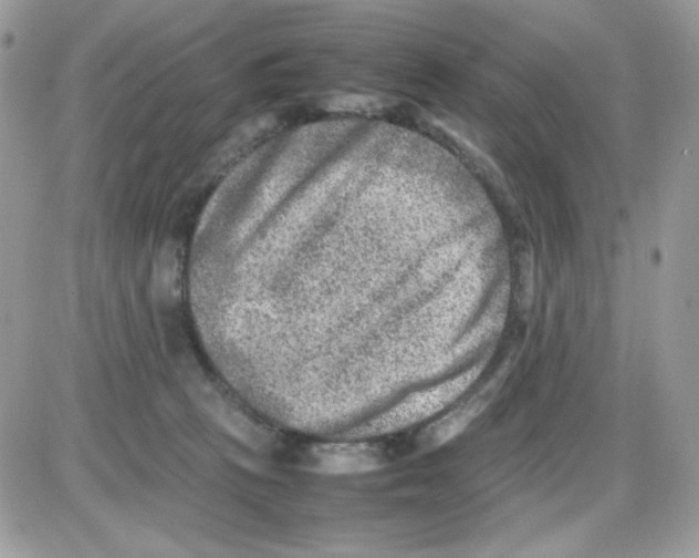 X0000085830273200704132045
