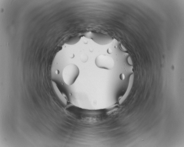 X0000085830276200704132045