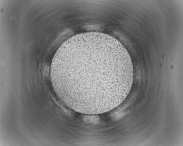X0000085830281200704132045