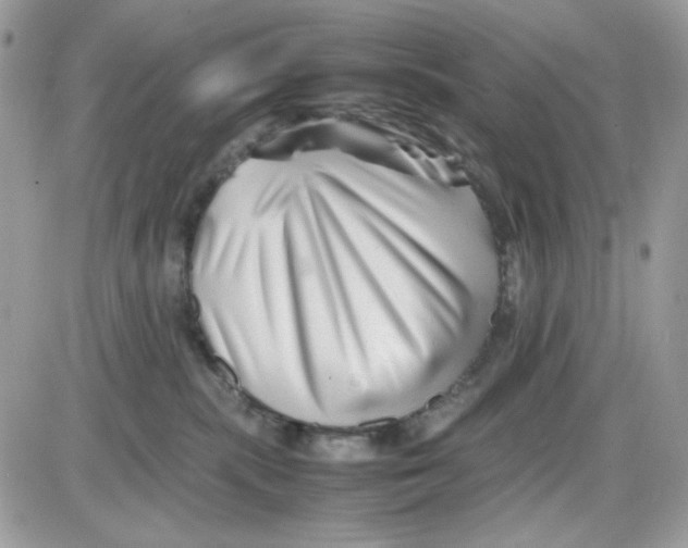 X0000085830283200704132045