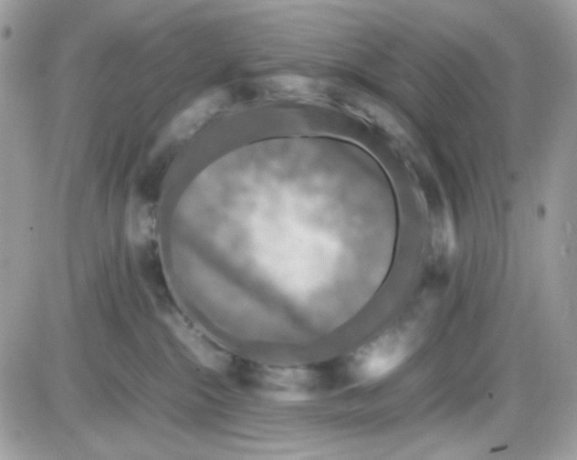 X0000085830284200704132045
