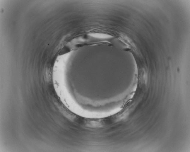 X0000085830285200704132045