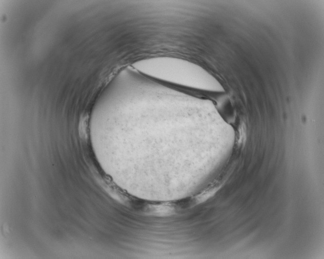 X0000085830286200704132045