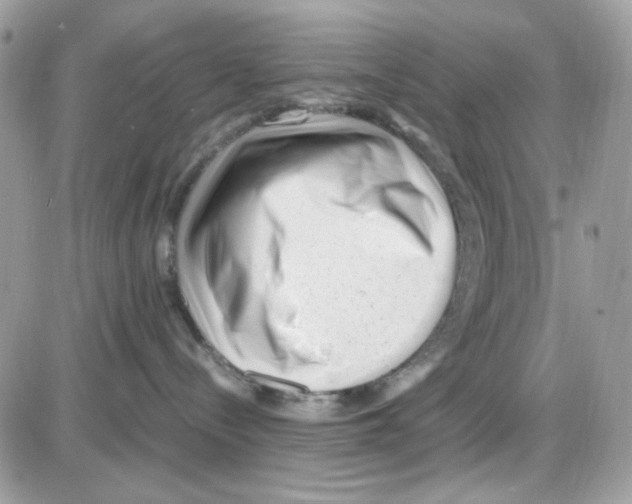 X0000085830288200704132045