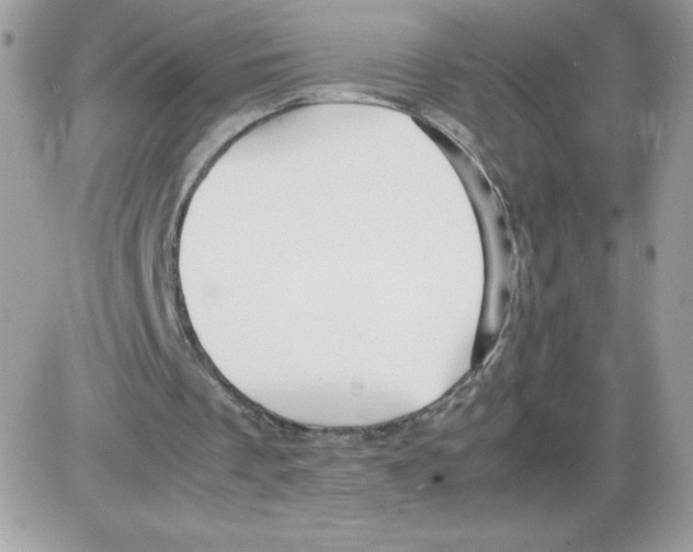 X0000085830289200704132045