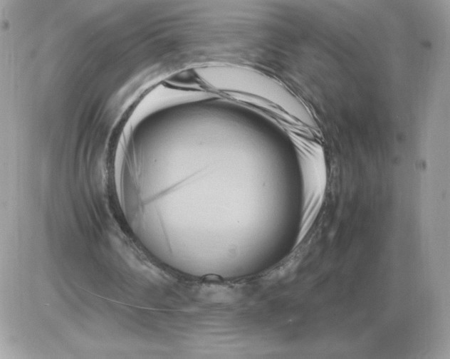 X0000085830290200704132045