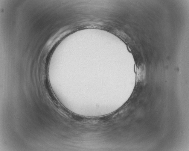 X0000085830291200704132045