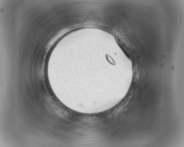 X0000085830292200704132045