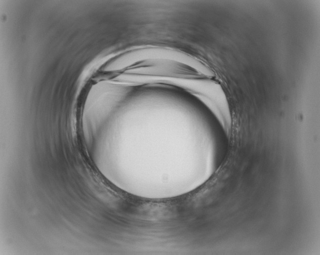 X0000085830294200704132045