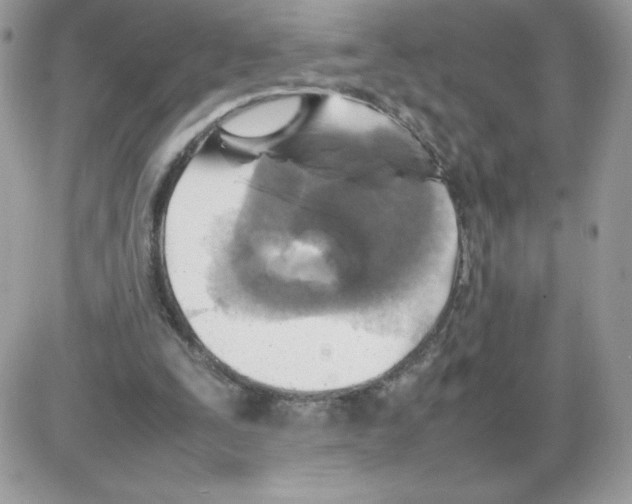 X0000085830295200704132045
