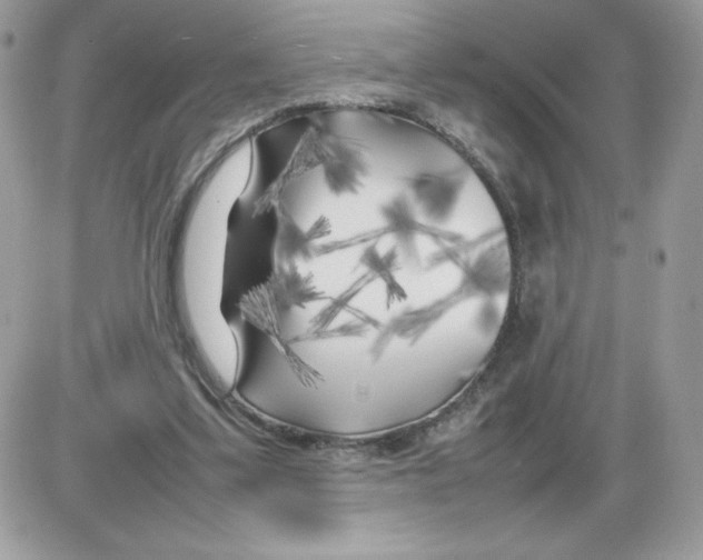 X0000085830299200704132044