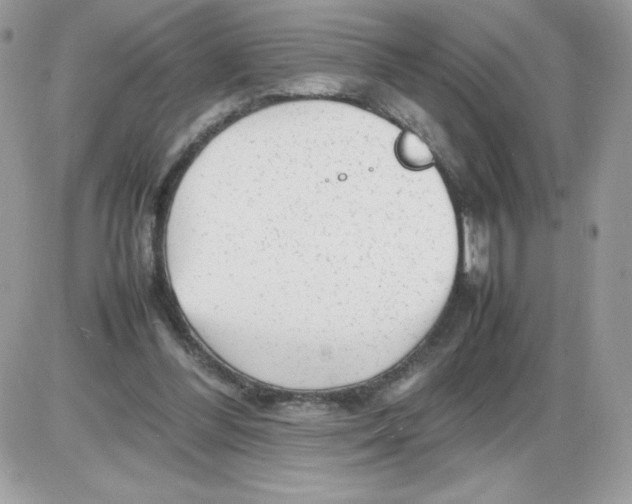X0000085830300200704132044