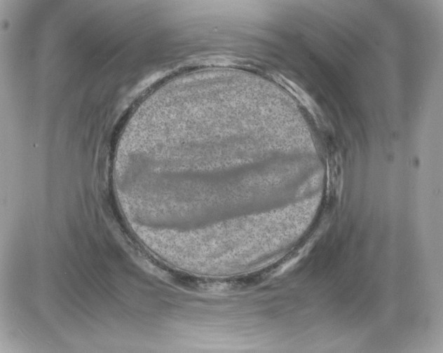 X0000085830301200704132044