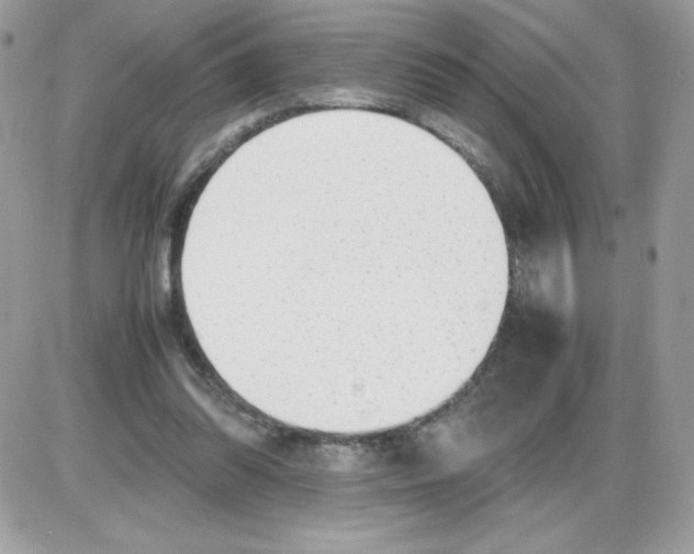 X0000085830302200704132044
