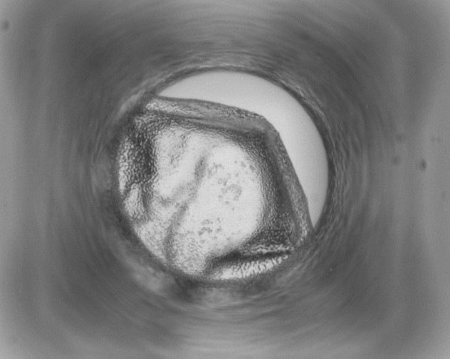 X0000085830303200704132044