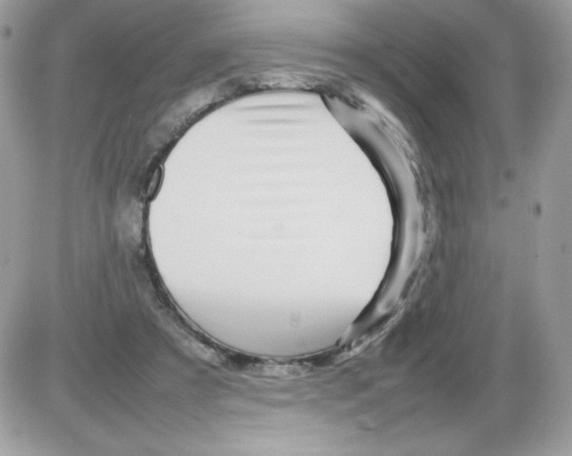 X0000085830305200704132044