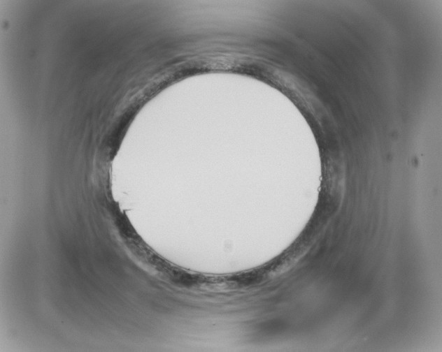 X0000085830307200704132044