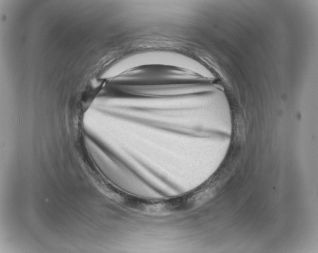 X0000085830309200704132044