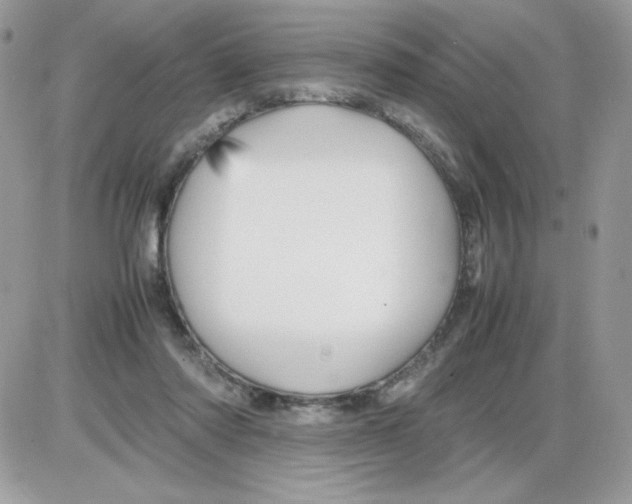 X0000085830310200704132044