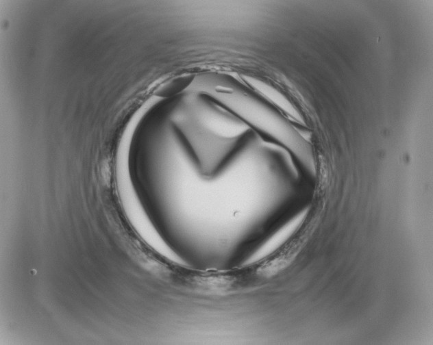 X0000085830313200704132044