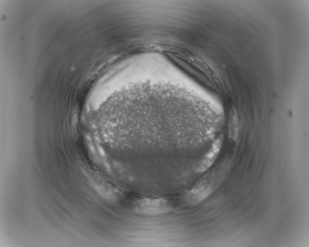 X0000085830314200704132044