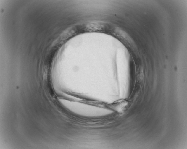 X0000085830315200704132044