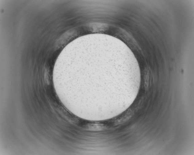 X0000085830316200704132044