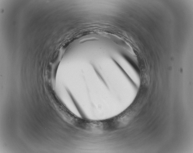 X0000085830317200704132044