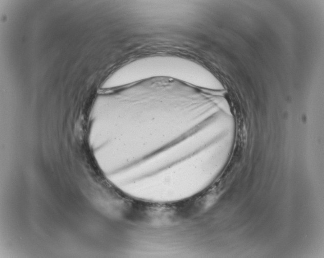 X0000085830319200704132044