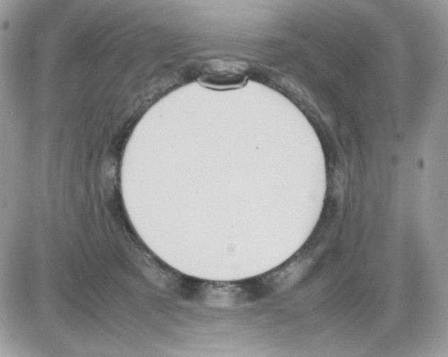 X0000085830321200704132044