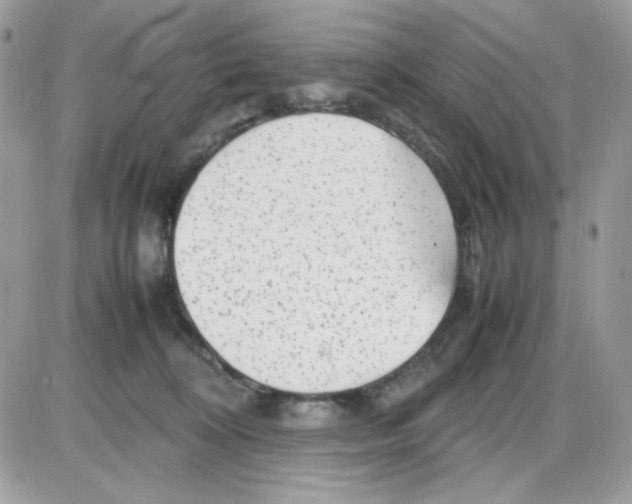 X0000085830324200704132044