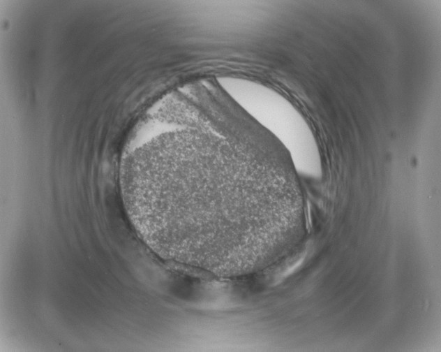 X0000085830325200704132044