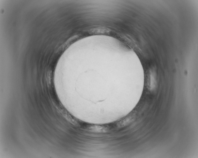 X0000085830326200704132044