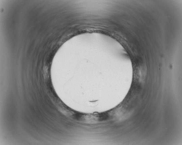X0000085830327200704132044