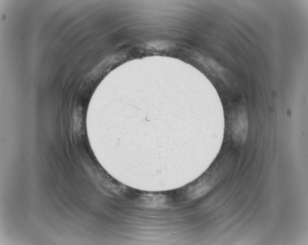X0000085830328200704132044