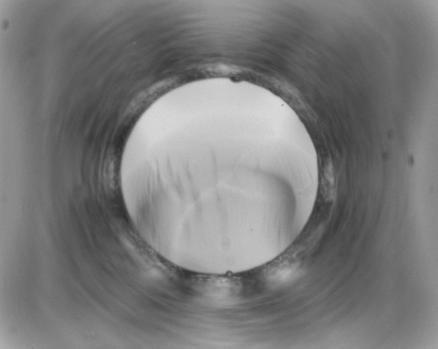 X0000085830330200704132044