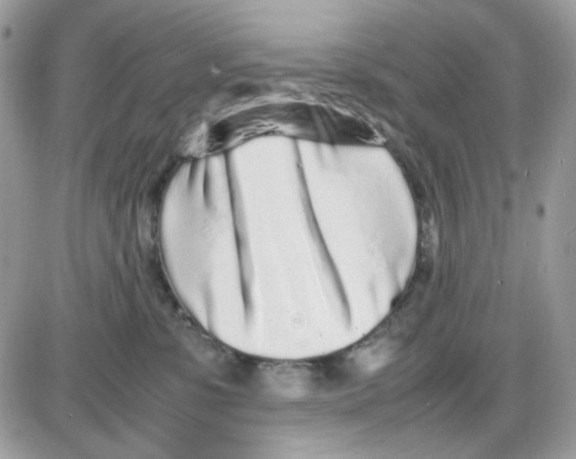 X0000085830331200704132044