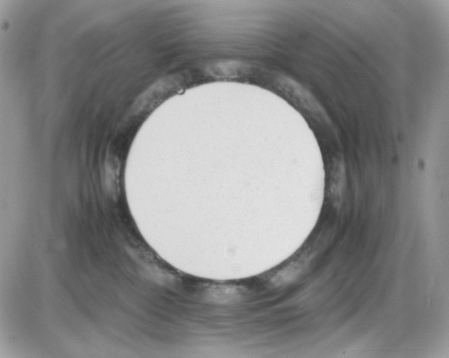 X0000085830332200704132044