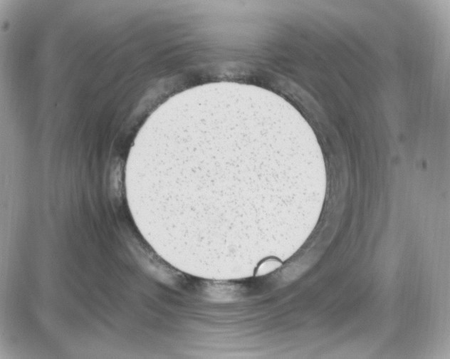 X0000085830336200704132044
